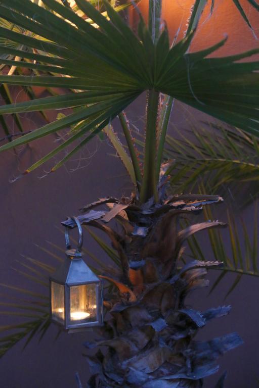 Riad Warda Marrakesh Ngoại thất bức ảnh